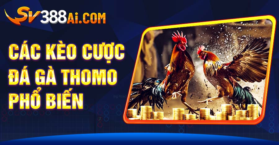 Sảnh SV388 đá gà Thomo mang đến nhiều hình thức